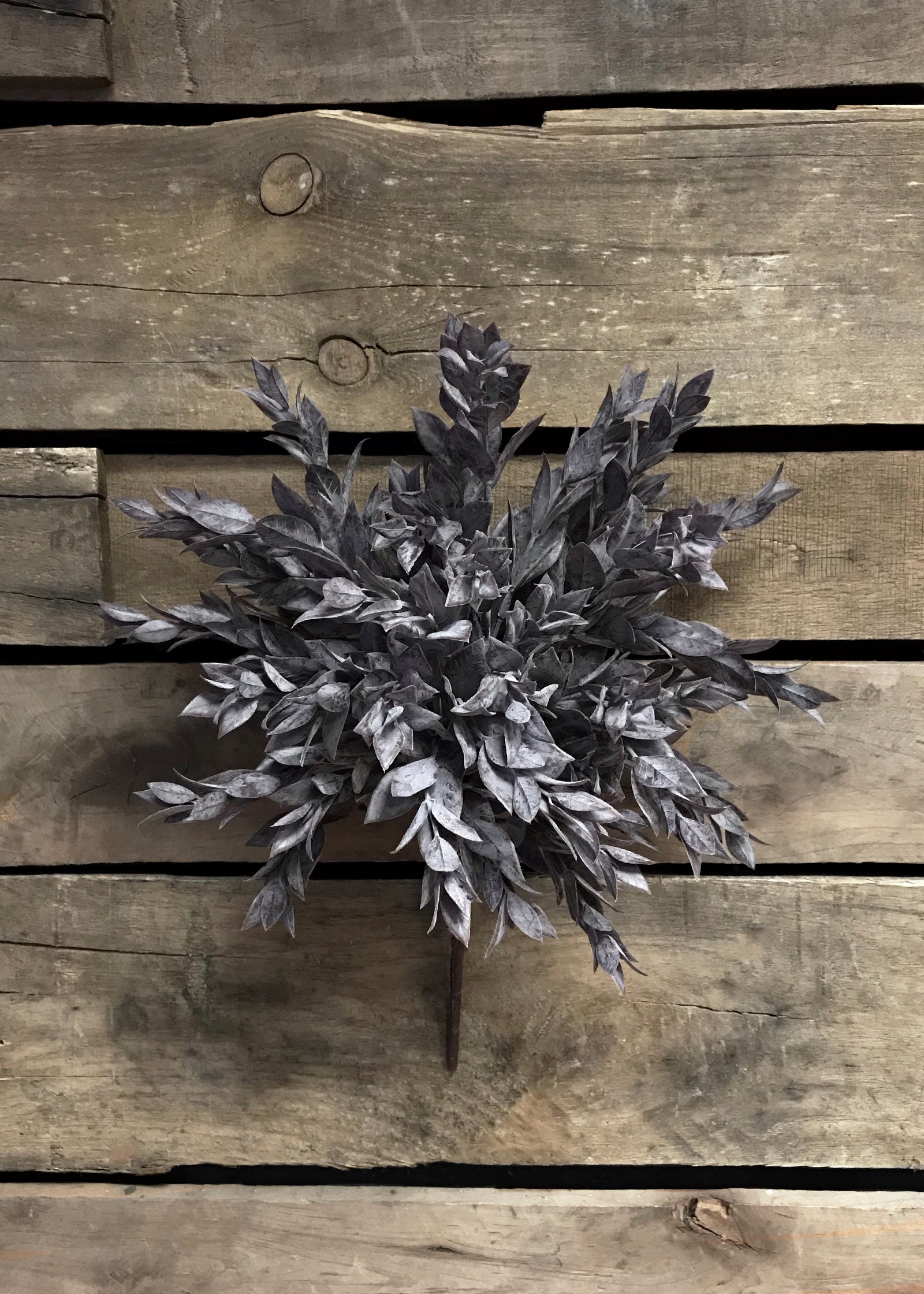ITEM 11220 BUR - 15" RUSCUS LEAVES BUSH