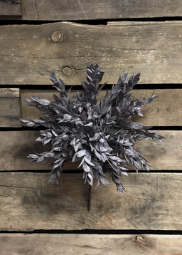 ITEM 11220 BUR - 15" RUSCUS LEAVES BUSH