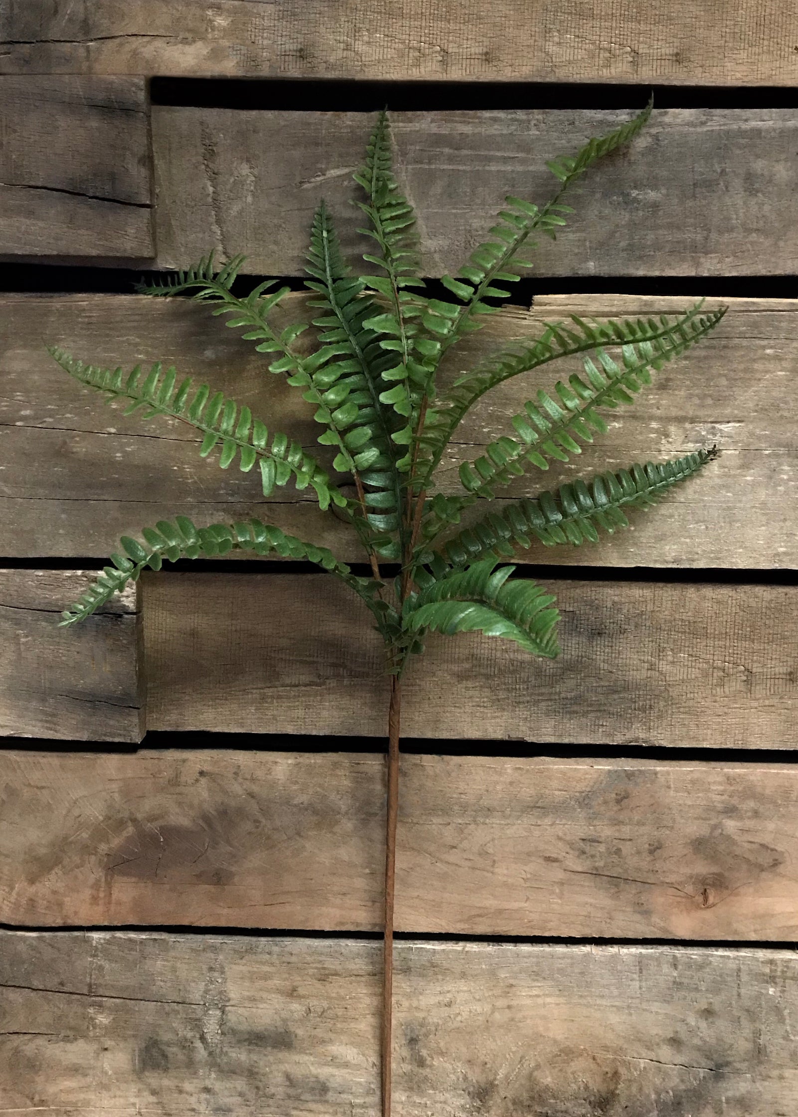 ITEM 11224 - 26" FRESH TOUCH FERN SPRAY