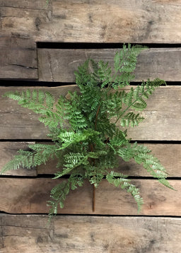 ITEM 11227 - 17" FRESH TOUCH LACE FERN BUSH