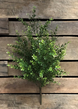 ITEM 11230 - 22" BOXWOOD BUSH