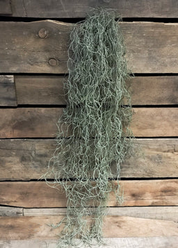 ITEM 11234 - 32" ARTIFICIAL SPANISH MOSS HANGING BUSH