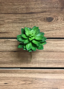 ITEM 11241 - 5" GREEN ECHEVERIA SUCCULENT PICK