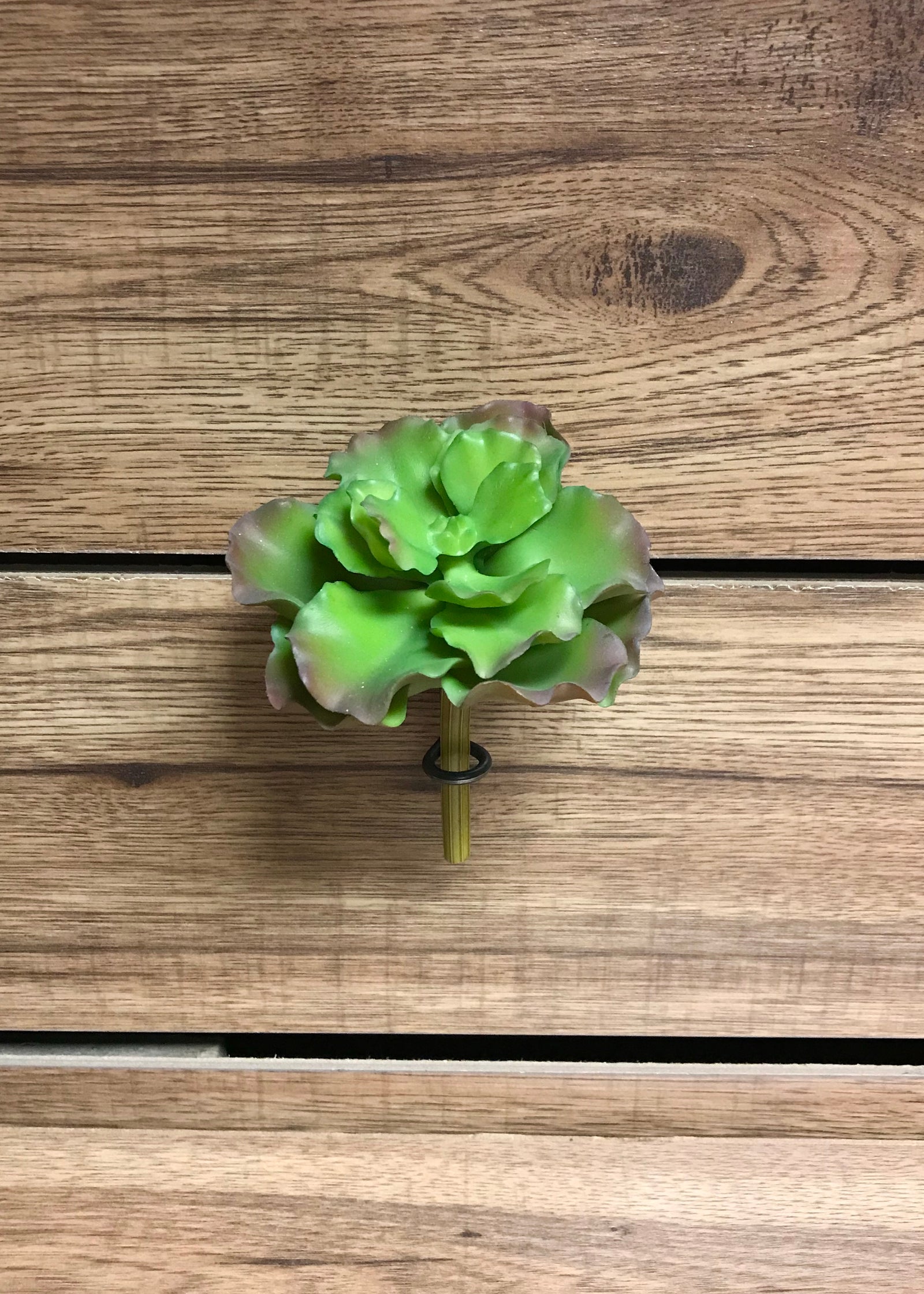 ITEM 11242 -  4.5" ECHEVERIA SUCCULENT PICK
