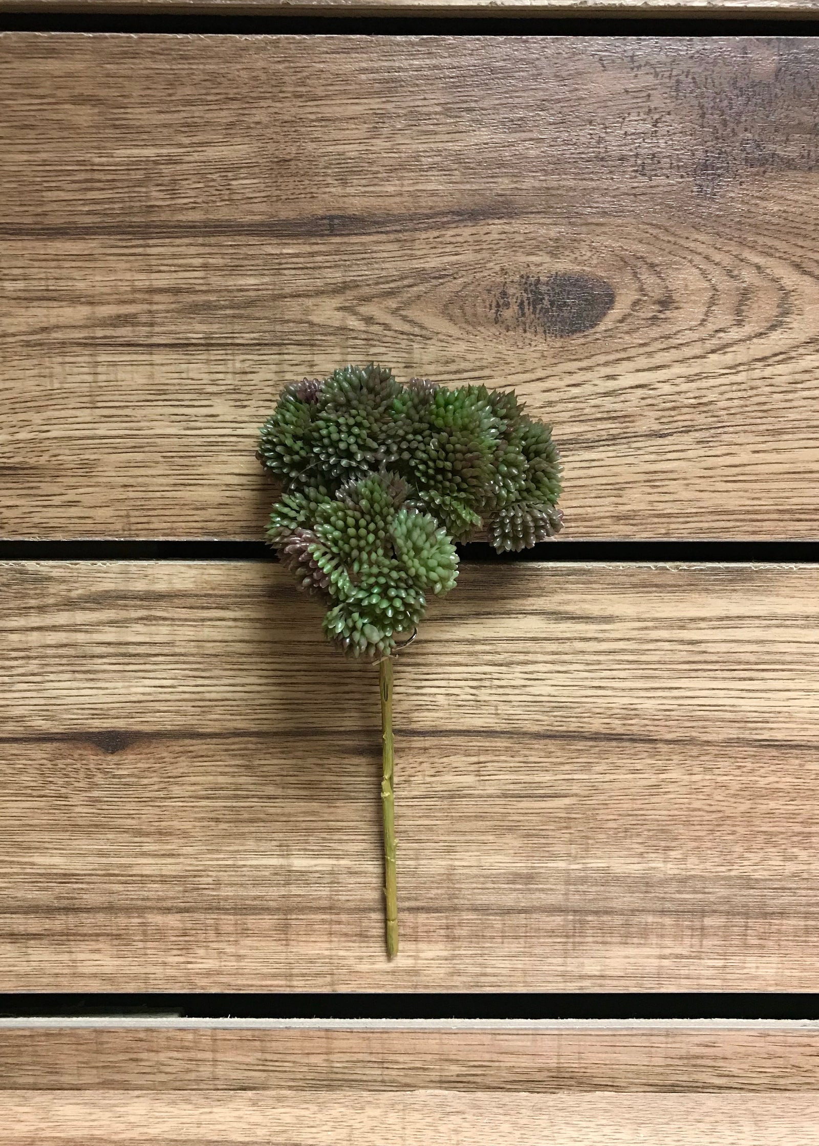 ITEM 11252 BURGR - 9" BURGUNDY GREEN FRESH TOUCH SEDUM PICK