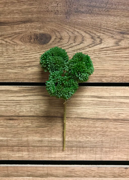 ITEM 11252 GR - 9" GREEN FRESH TOUCH SEDUM PICK