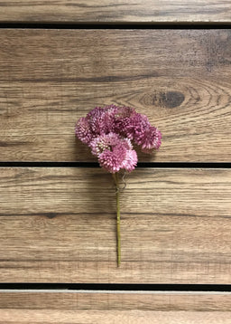 ITEM 11252 PK - 9" PINK FRESH TOUCH SEDUM PICK