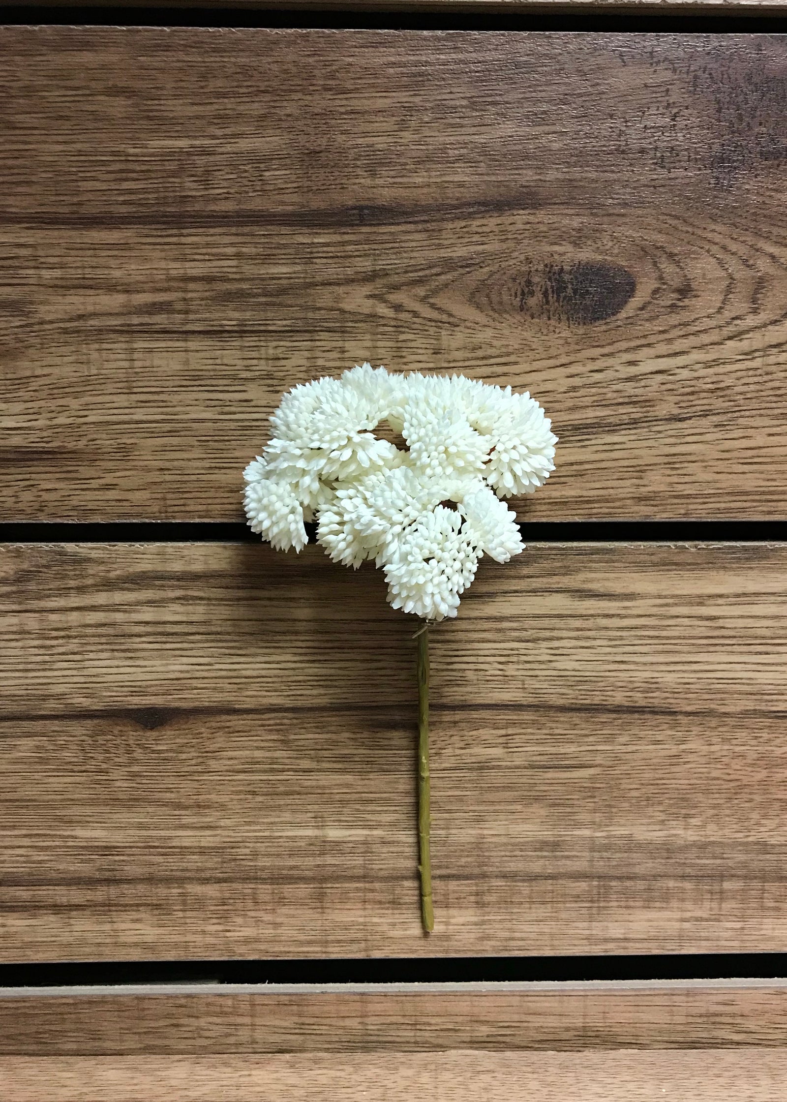 ITEM 11252 W - 9" WHITE FRESH TOUCH SEDUM PICK