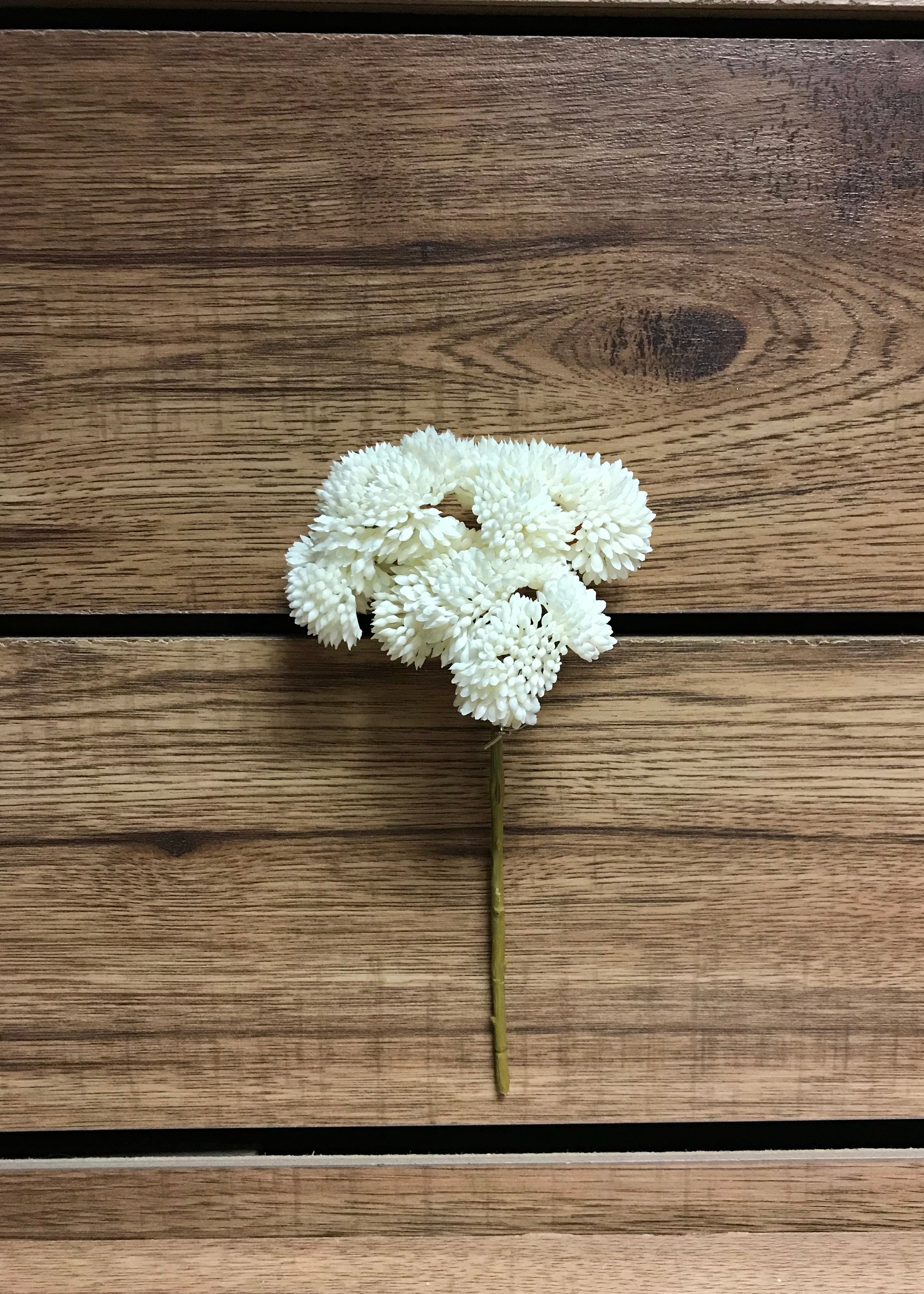 ITEM 11252 W - 9" WHITE FRESH TOUCH SEDUM PICK