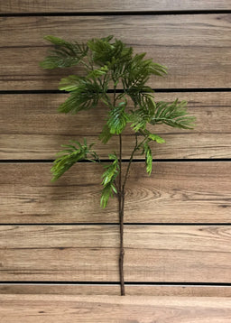 ITEM 11257 - 37" ACACIA SPRAY