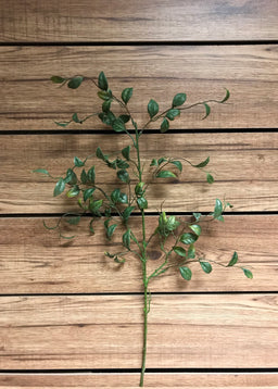 ITEM 11261 - 31" SMILAX SPRAY