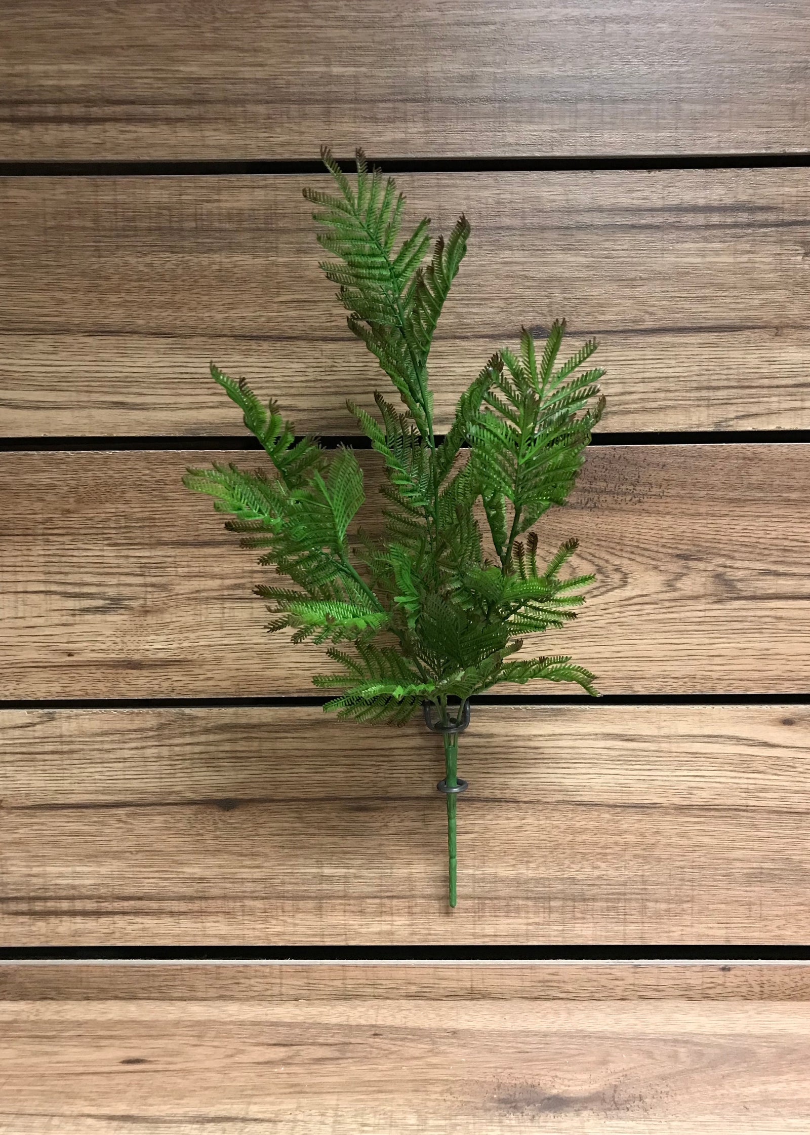 ITEM 11270 - 21" MIMOSA LEAF SPRAY