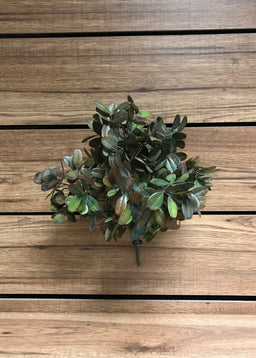 ITEM 11275 - 14" BURGUNDY GREEN SEDUM BUSH