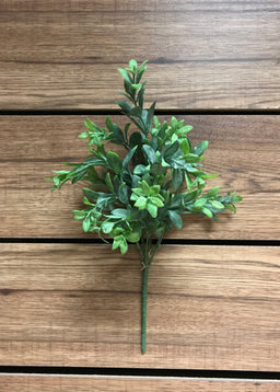 ITEM 11276 - 15" RUSCUS BUSH X 5