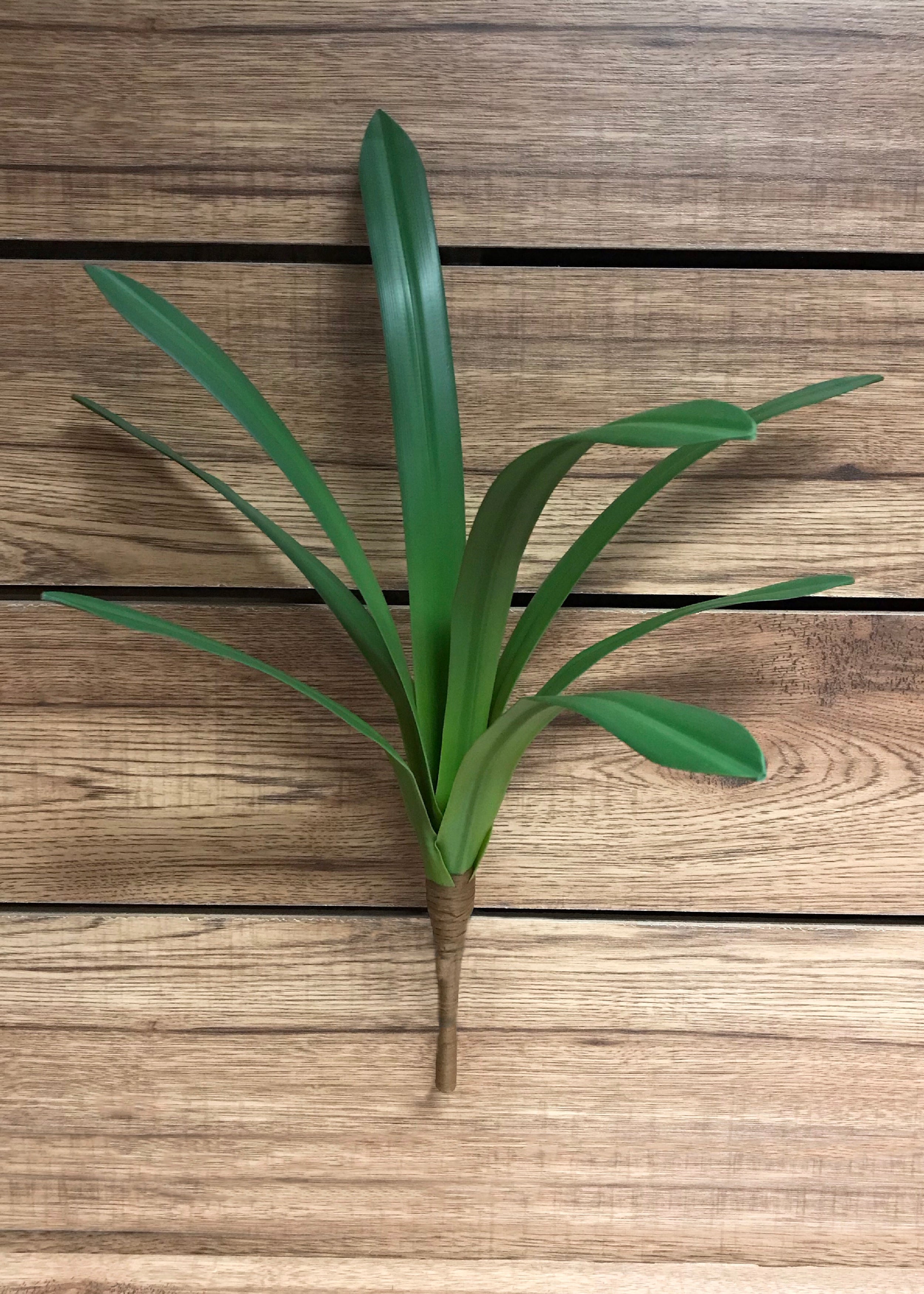 ITEM 11292 - 22" CYMBIDIUM LEAVES BUSH