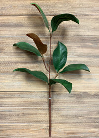 ITEM 11331 - 26" MAGNOLIA SPRAY