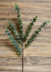 ITEM 11336 GR - 28" GREEN EUCALYPTUS SPRAY WITH 5 BRANCHES