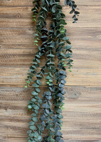 ITEM 11337 - 6' BLUE GREEN EUCALYPTUS GARLAND