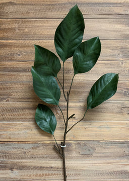 ITEM 11343 - 40" MAGNOLIA SPRAY WITH 6 LEAVES