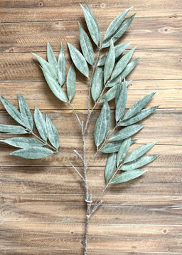 ITEM 11346 - 42" MUDDY WHITE WILLOW SPRAY