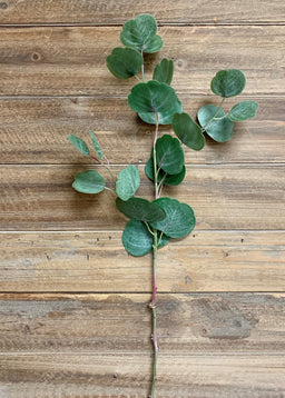 ITEM 11348 - 26.5" FRESH TOUCH SILVER DOLLAR EUCALYPTUS SPRAY
