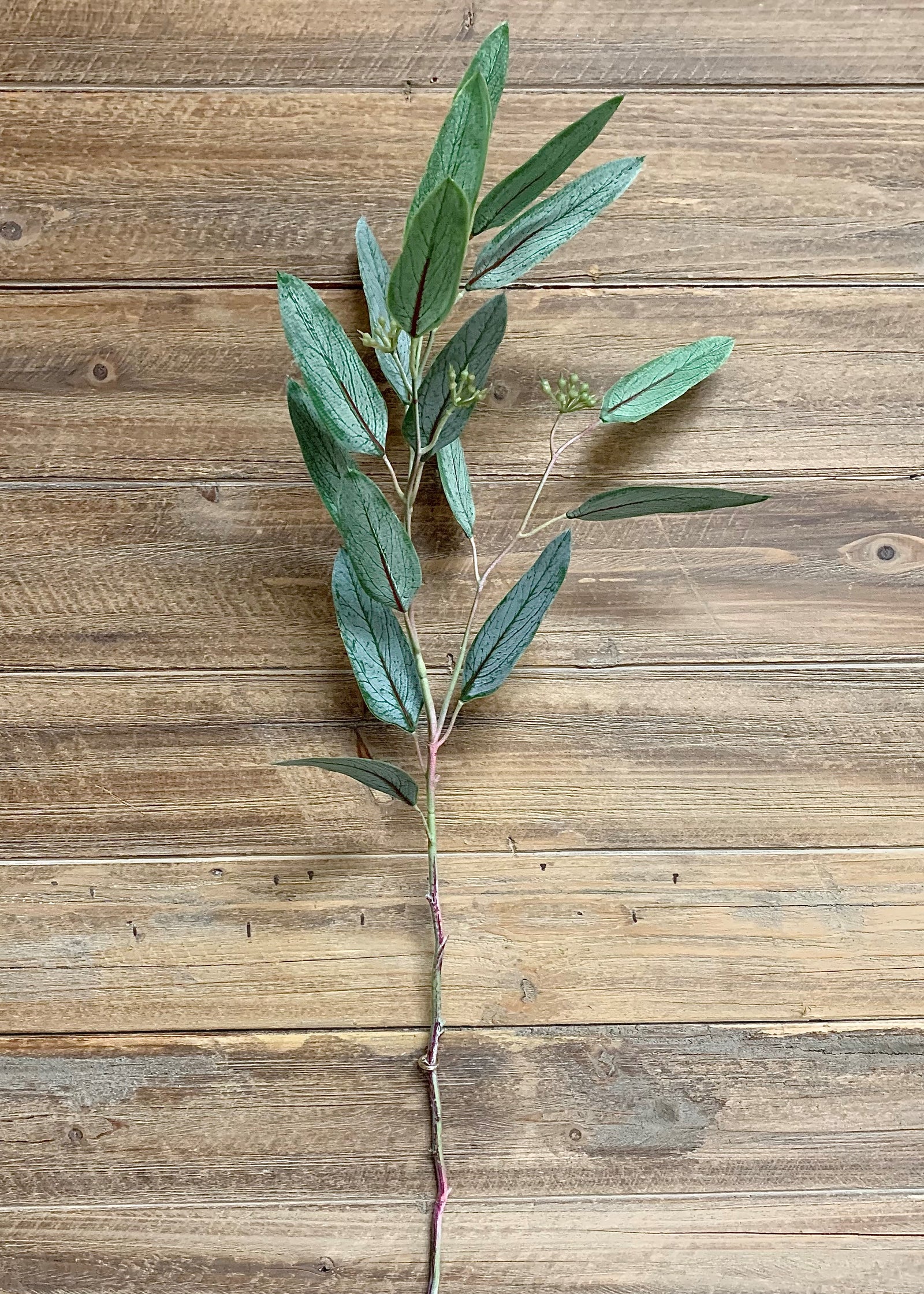 ITEM 11353 - 29" FRESH TOUCH WILLOW EUCALYPTUS SPRAY