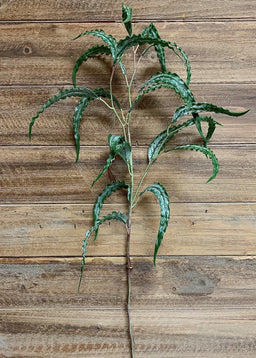 ITEM 11355 - 29.25" FRESH TOUCH CURLY EUCALYTUS SPRAY