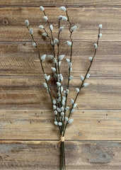 ITEM 11356 - 19" PUSSY WILLOW BUNDLE WITH 6 STEMS