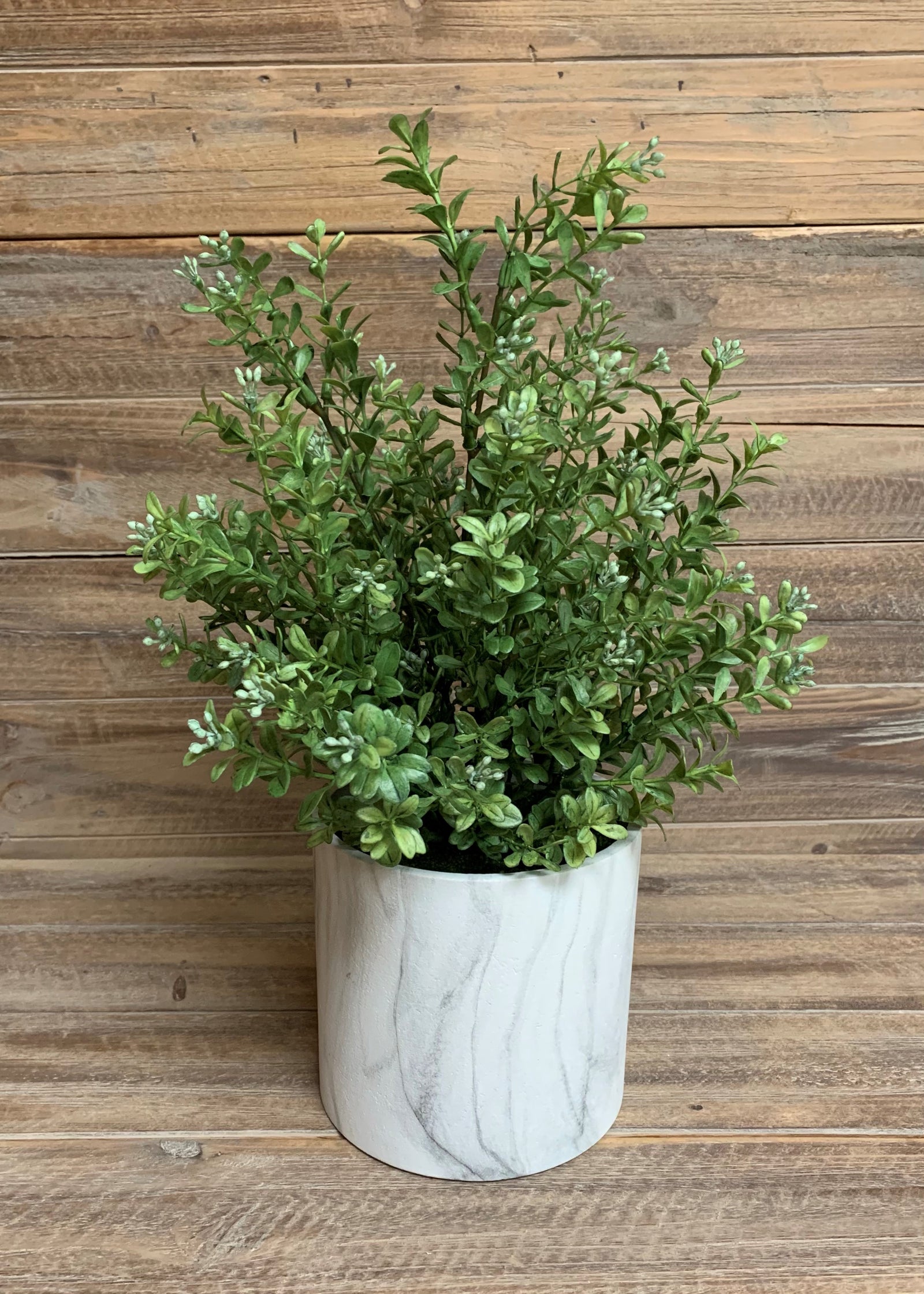 ITEM 11359 - 17" MODERN BOXWOOD BUSH POTTED