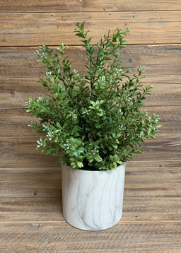 ITEM 11359 - 17" MODERN BOXWOOD BUSH POTTED