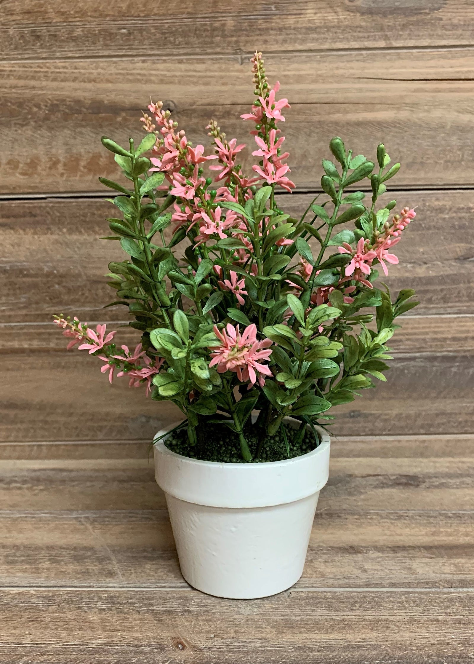 ITEM 11368 PK - 9" PINK SWEET VERONICA BUSH POTTED