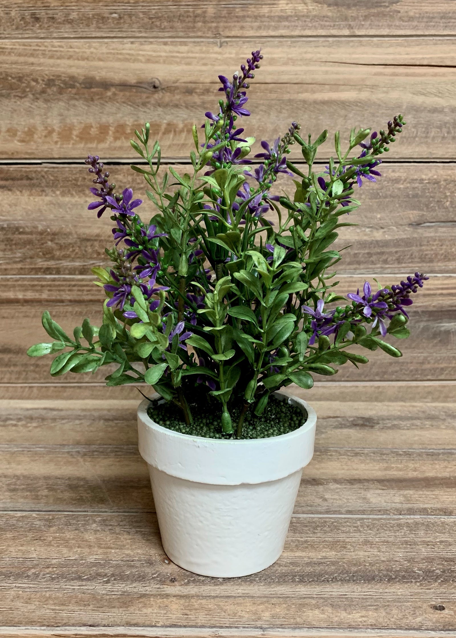 ITEM 11368 PUR - 9" PURPLE SWEET VERONICA BUSH POTTED