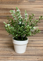 ITEM 11368 W - 9" WHITE SWEET VERONICA BUSH POTTED