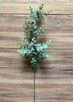 ITEM 11375 -  25" EUCALYPTUS SPRAY