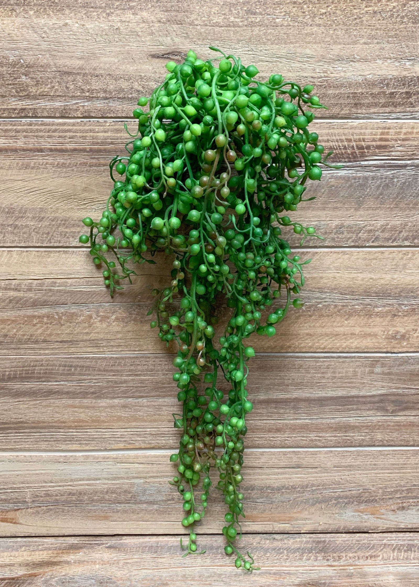 ITEM 11379 -  18" STRING OF PEARLS HANGING SUCCULENT