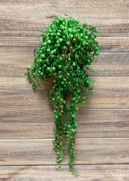 ITEM 11379 -  18" STRING OF PEARLS HANGING SUCCULENT