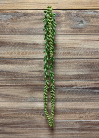 ITEM 11381 - 26" NERTERA BERRY HANGING PICK