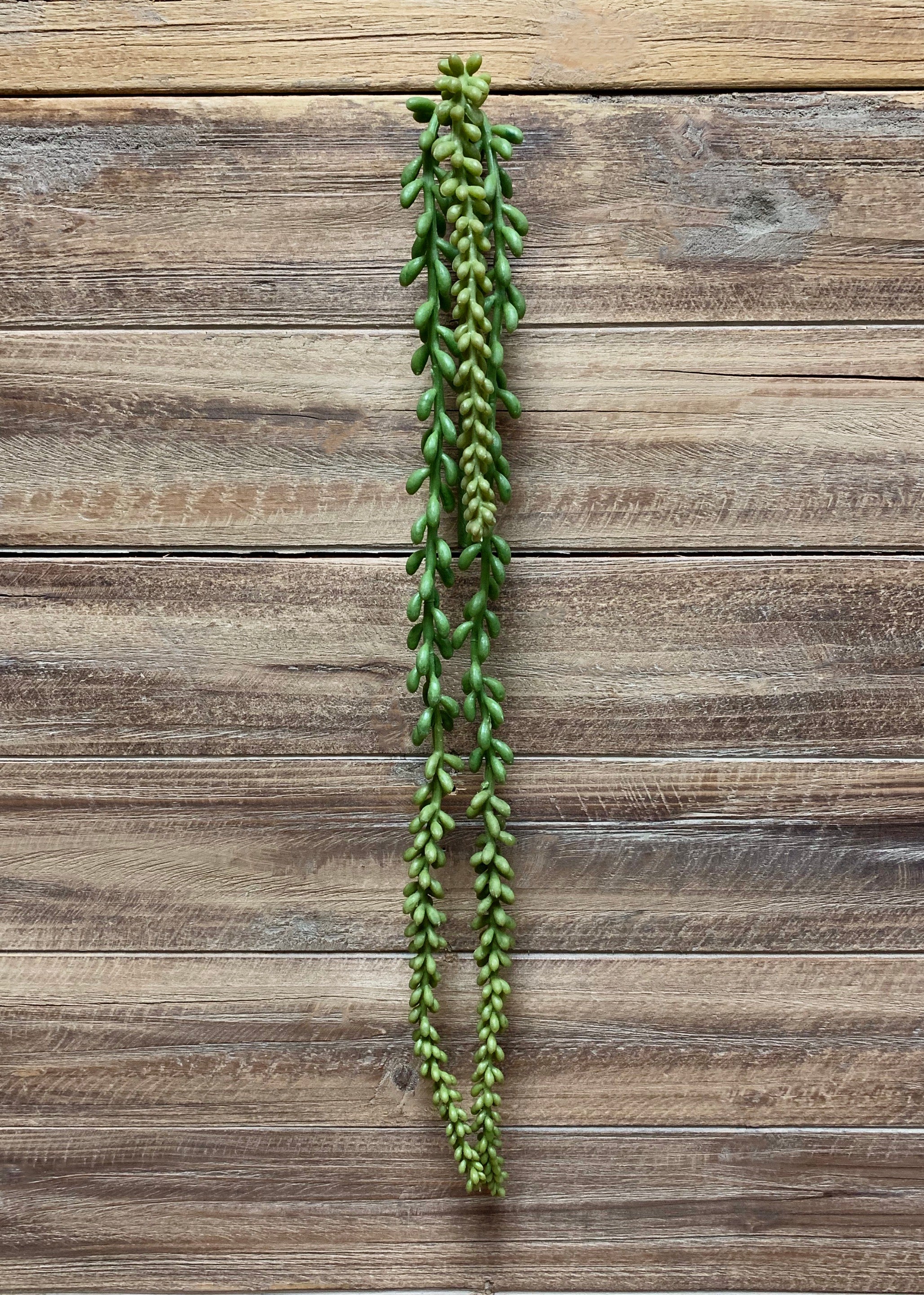 ITEM 11381 - 26" NERTERA BERRY HANGING PICK