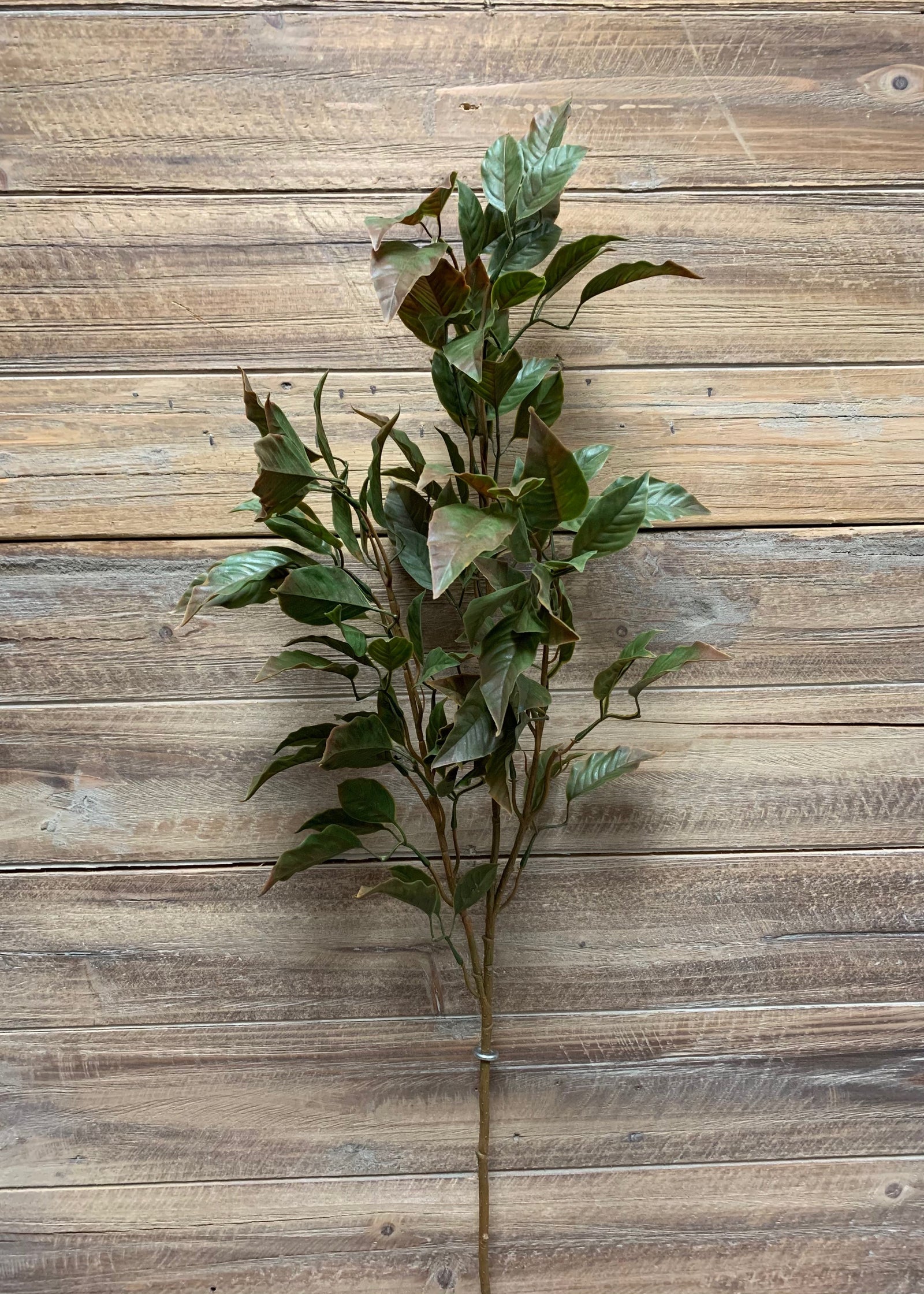 ITEM 11386 GR  - 35" GREEN FICUS SPRAY