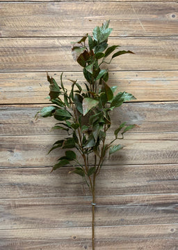 ITEM 11386 GR  - 35" GREEN FICUS SPRAY