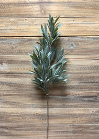 ITEM 11387 - 30" GREEN MYRTLE SPRAY