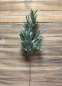 ITEM 11387 - 30" GREEN MYRTLE SPRAY