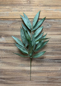 ITEM 11393 - 23" MUDDY WHITE WILLOW SPRAY X 5