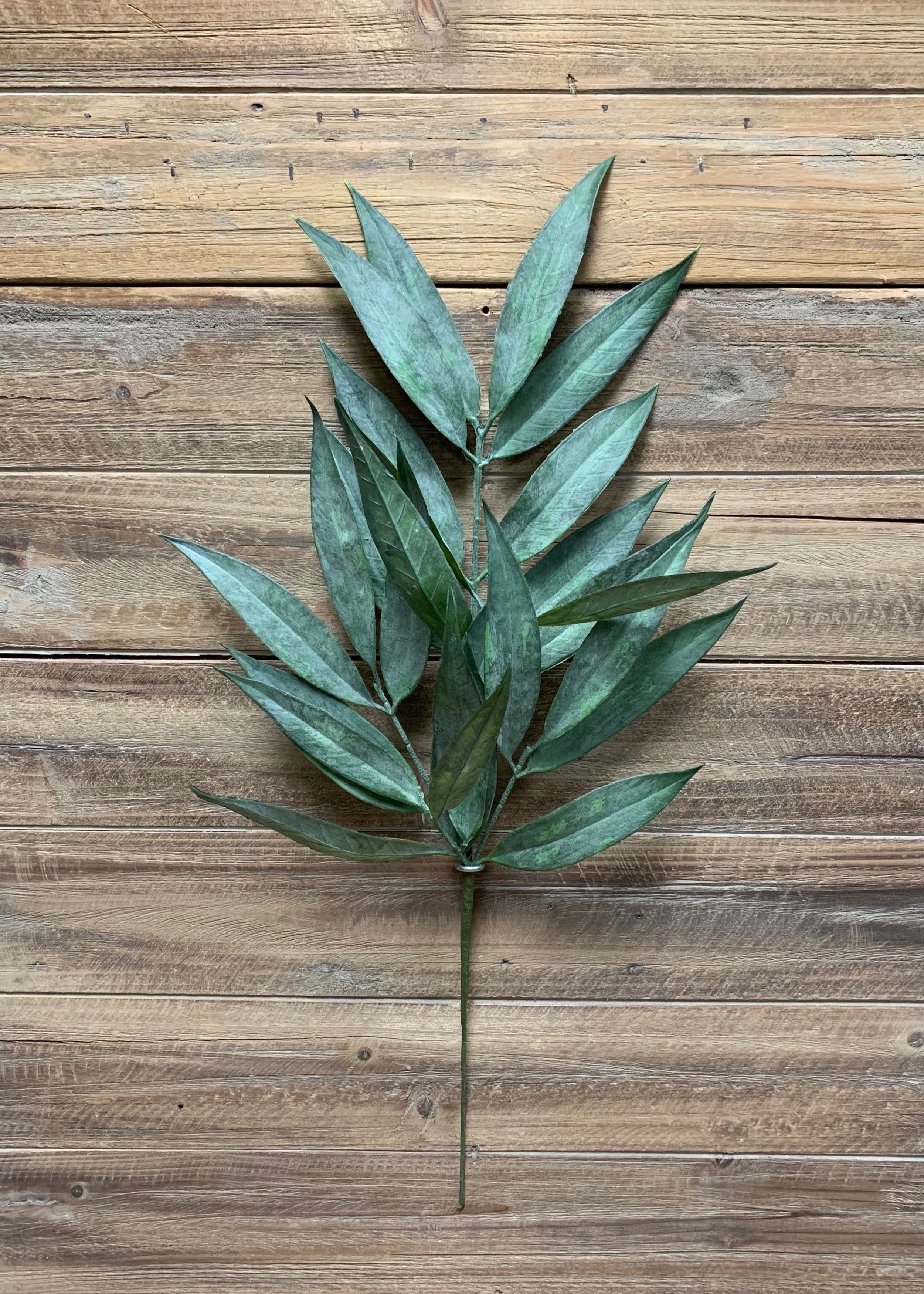 ITEM 11393 - 23" MUDDY WHITE WILLOW SPRAY X 5