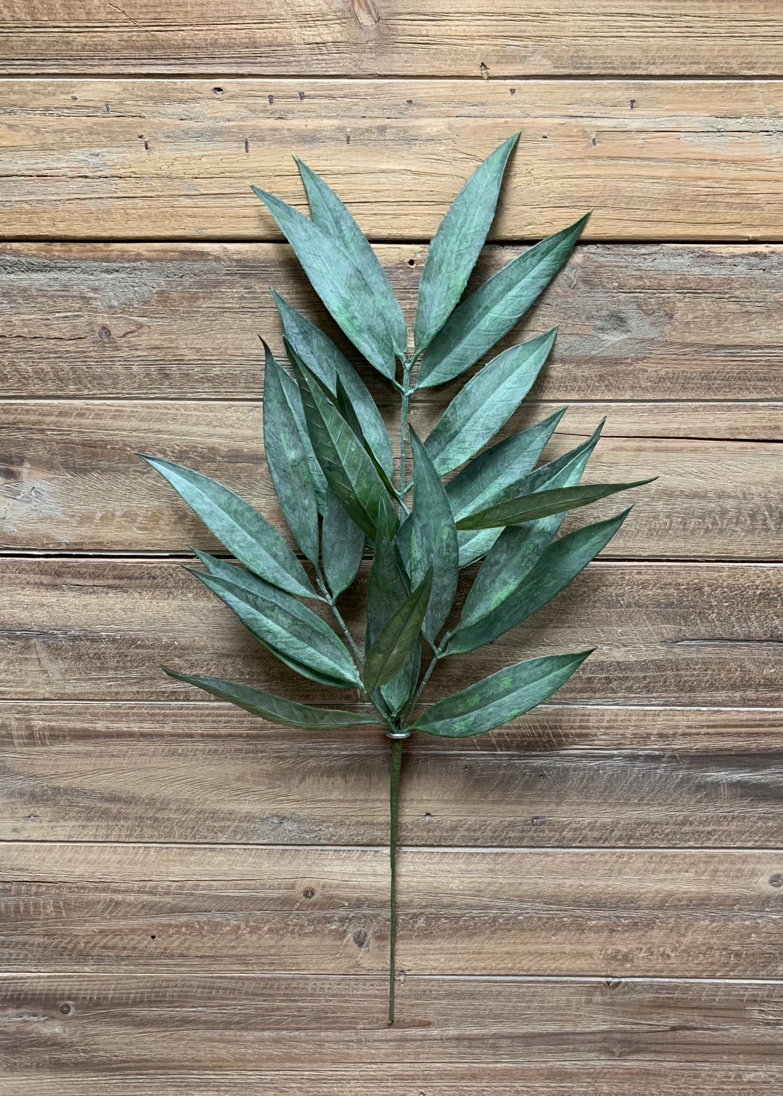 ITEM 11393 - 23" MUDDY WHITE WILLOW SPRAY X 5