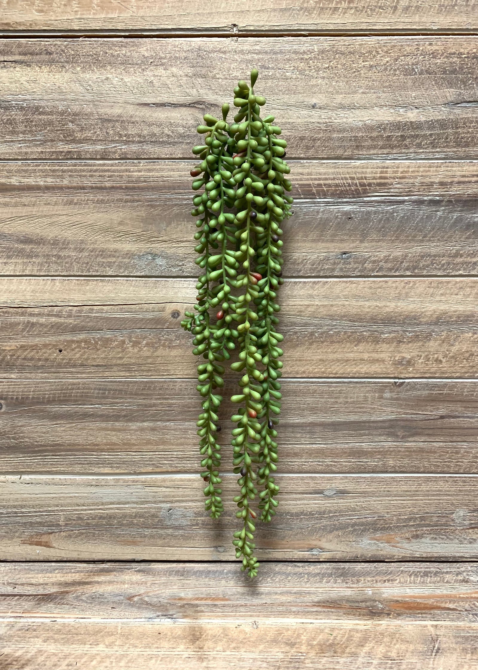 ITEM 11397 - 21" BURGUNDY GREEN DONKEY TAIL HANGING STEM