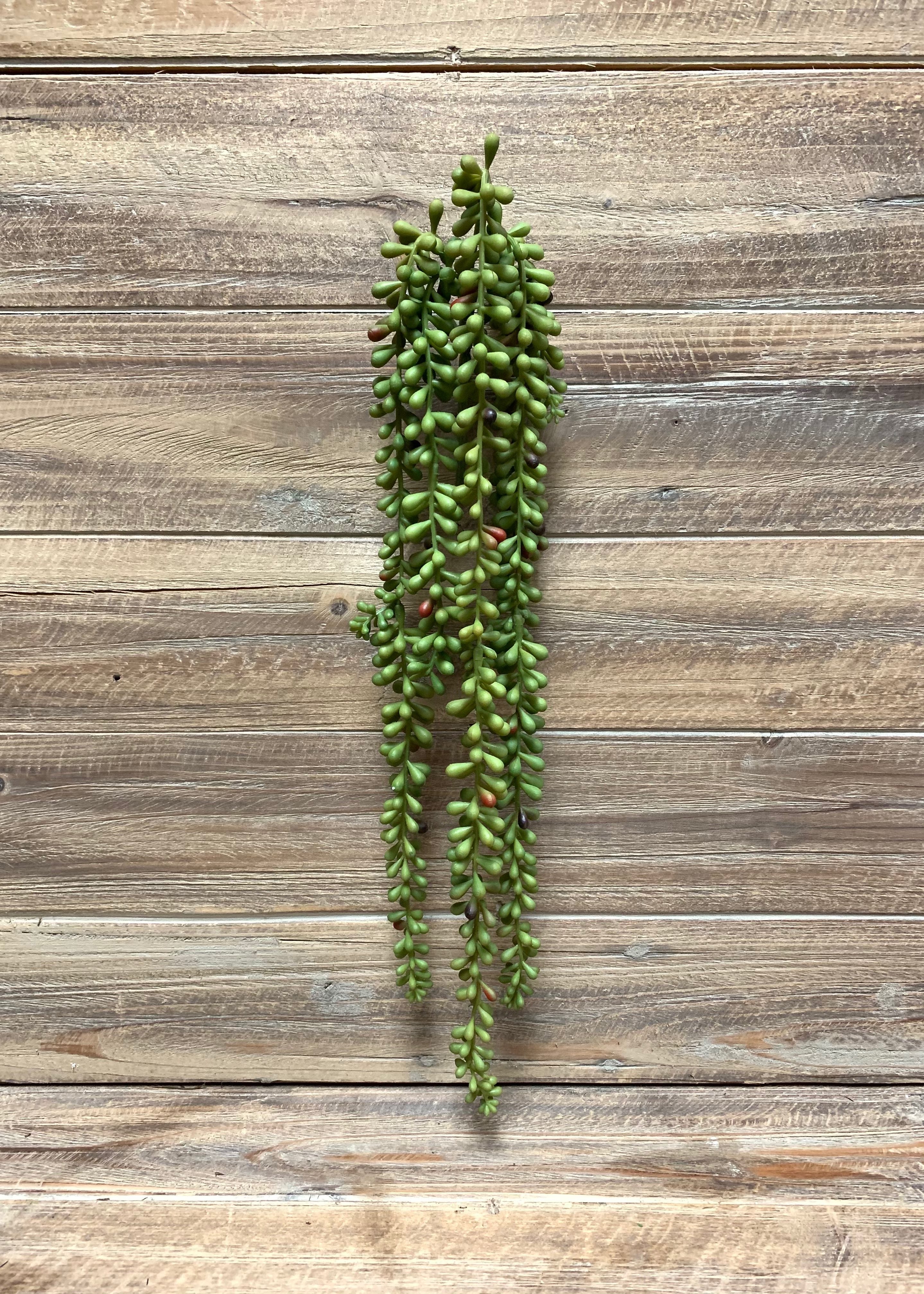 ITEM 11397 - 21" BURGUNDY GREEN DONKEY TAIL HANGING STEM