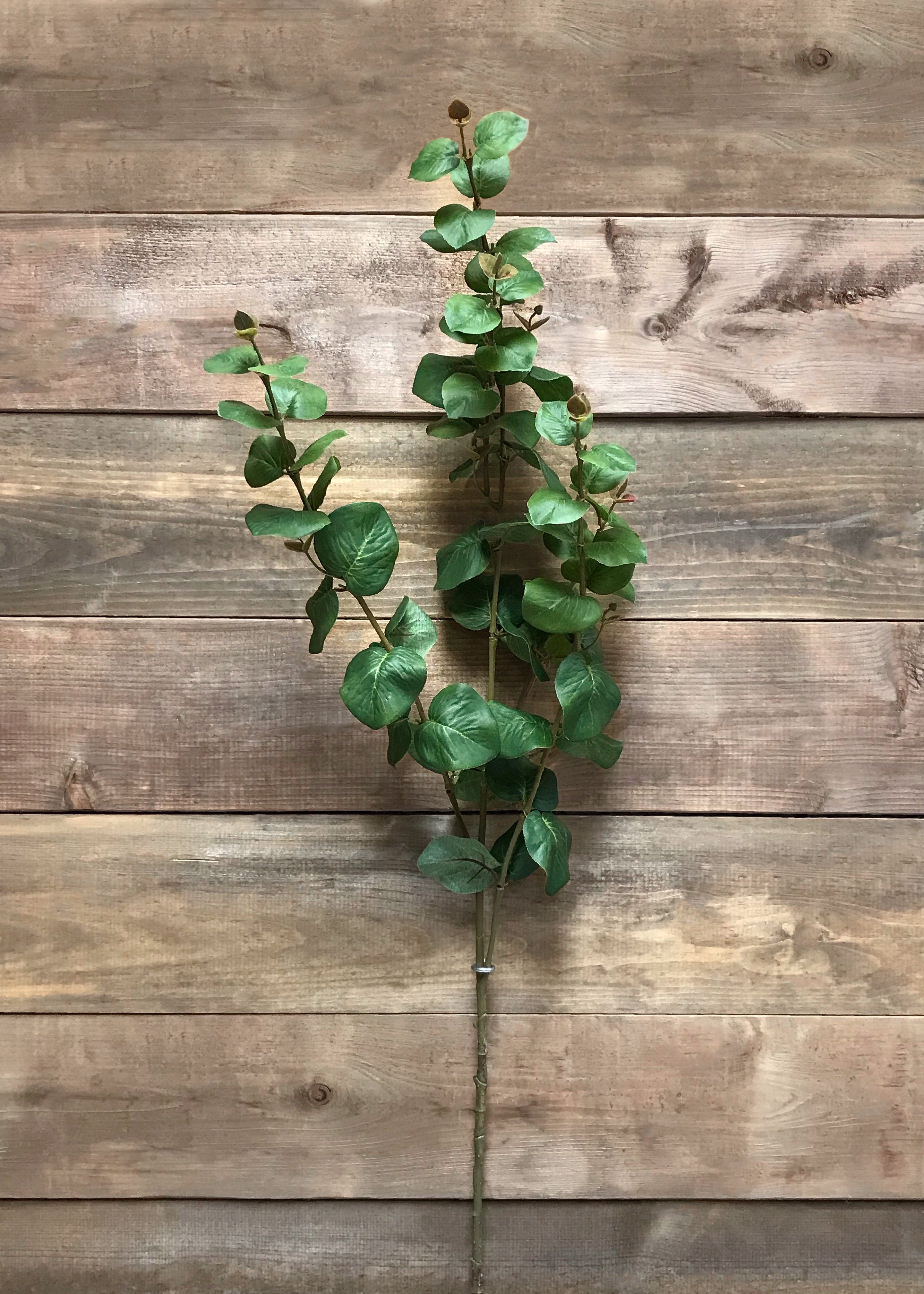 ITEM 11399 - 42.5" GREEN EUCALYPTUS SPRAY X 3