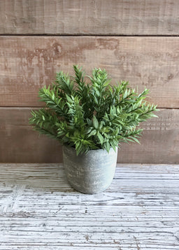 ITEM 11408 - 8" MINI BAMBOO BUSH IN POT