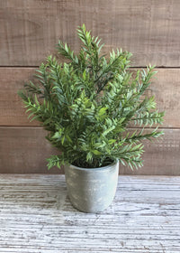 ITEM 11409 - 13" MINI BAMBOO BUSH IN POT